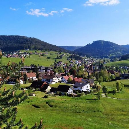 Ferienwohnung, Sauna & Gaestekarte Gratis Im Schwarzwald Баїрсбронн Екстер'єр фото