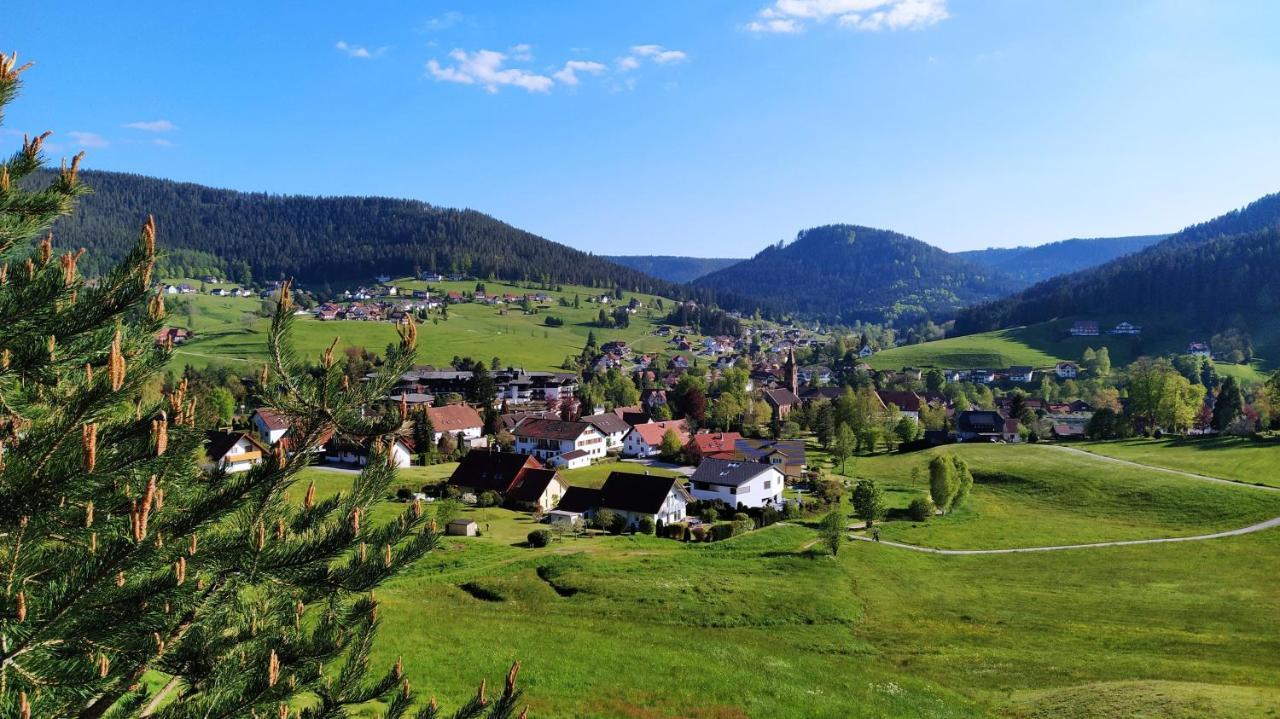 Ferienwohnung, Sauna & Gaestekarte Gratis Im Schwarzwald Баїрсбронн Екстер'єр фото