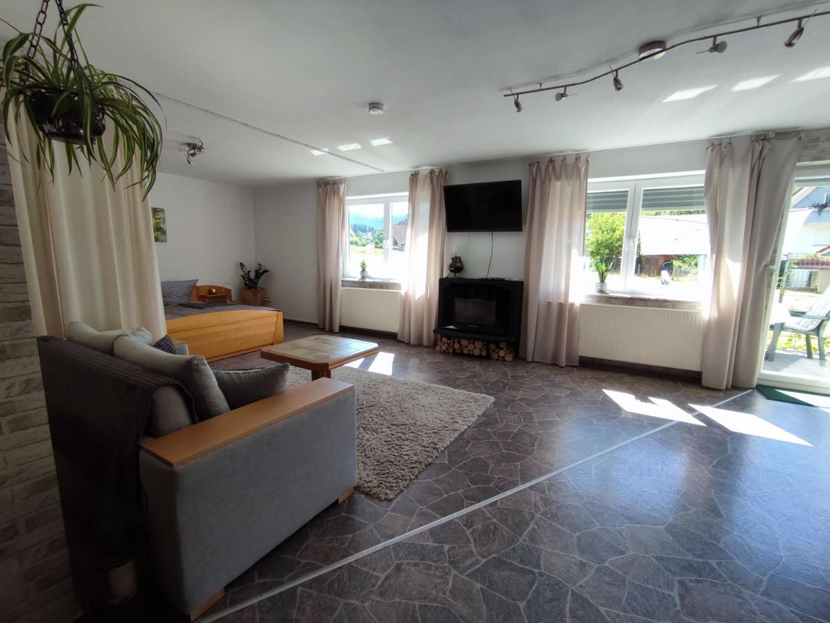 Ferienwohnung, Sauna & Gaestekarte Gratis Im Schwarzwald Баїрсбронн Екстер'єр фото