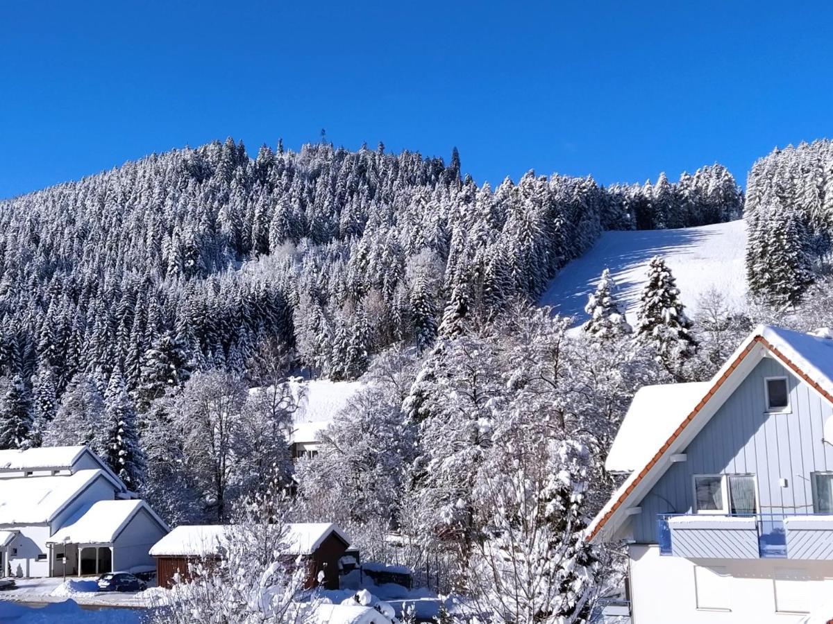 Ferienwohnung, Sauna & Gaestekarte Gratis Im Schwarzwald Баїрсбронн Екстер'єр фото