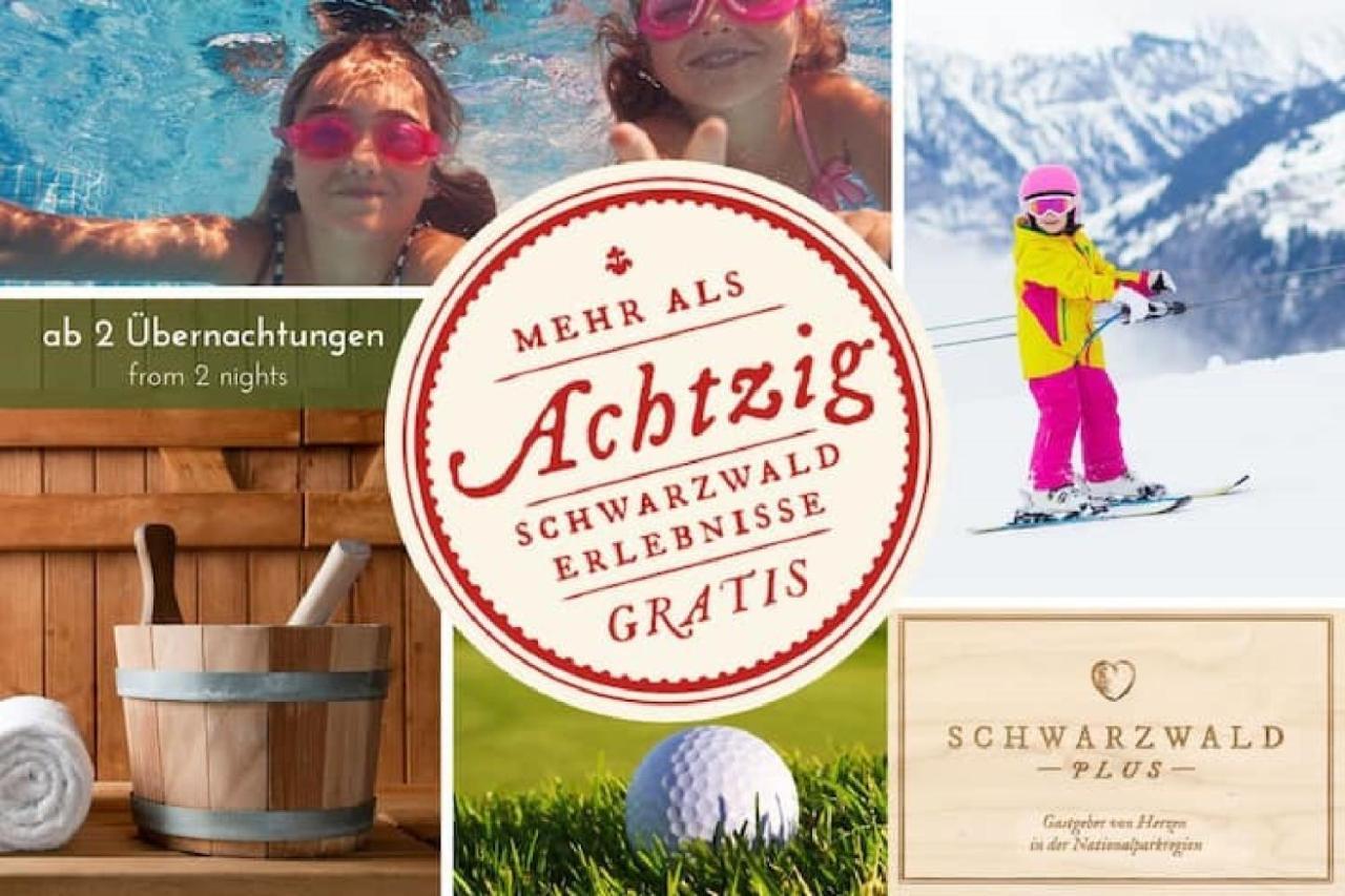 Ferienwohnung, Sauna & Gaestekarte Gratis Im Schwarzwald Баїрсбронн Екстер'єр фото