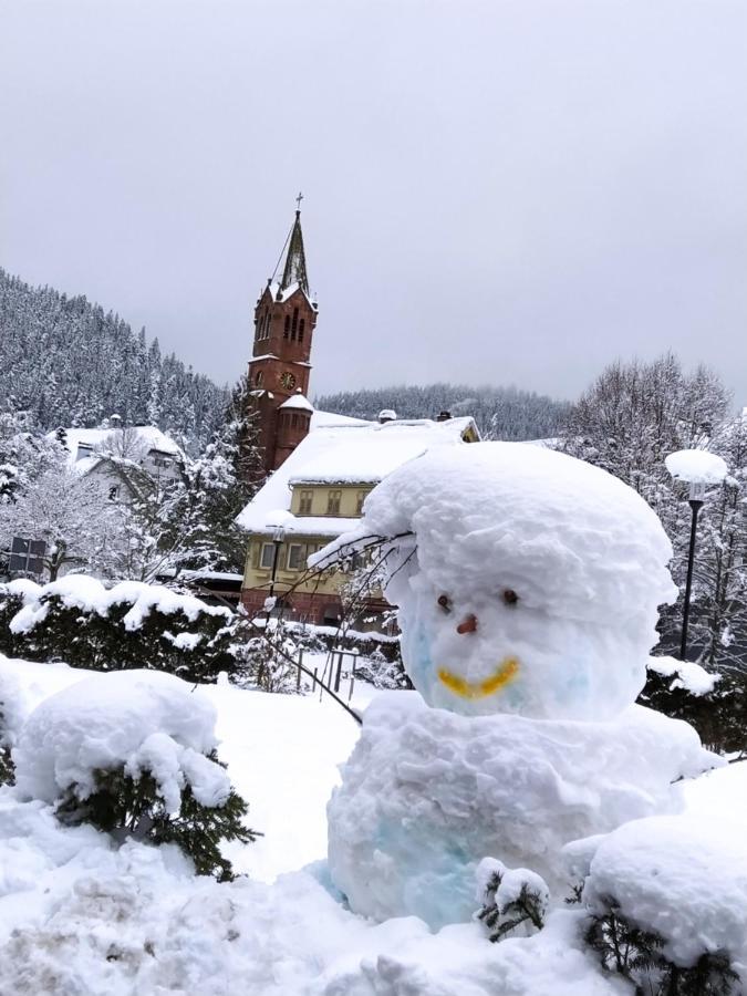 Ferienwohnung, Sauna & Gaestekarte Gratis Im Schwarzwald Баїрсбронн Екстер'єр фото
